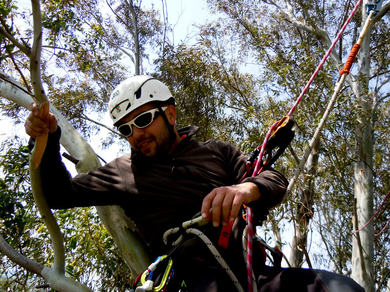 Potatura stagionale piante - Tecniche tree climbing